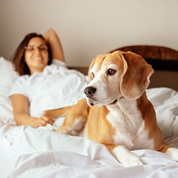 Is Norfolk Lodge & Suites pet-friendly?